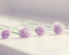 QQ自由幻想游戏男生名字