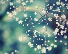 有气质的游戏名字——旧梦颜