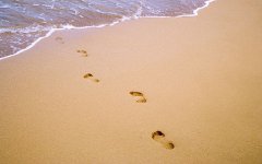 1991年属羊和1990年属马的婚姻配对