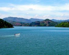 时尚甜美的游戏昵称有哪些——那时花开