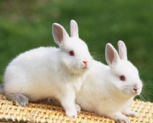 简约阳光的游戏昵称有哪些——你夏了夏天