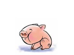 农历3月出生属猪人命好吗