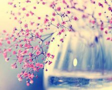 2017年七夕祝福短语大全集