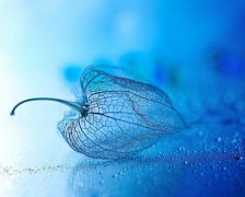 什么八字的人最败家