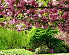 2017年1月18日黄历吉日查询