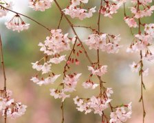 2017年1月16日黄历吉日查询