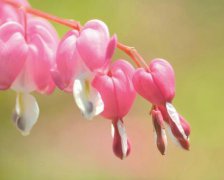2017年1月17日黄历吉日查询