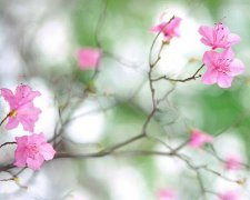 2017年1月20日黄历吉日查询