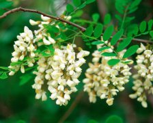 2017年劳动节给老师的祝福语
