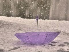 生肖配对属鼠和属虎适合做夫妻吗