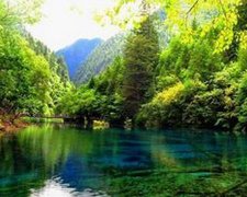 2017年1月30日黄历吉日查询