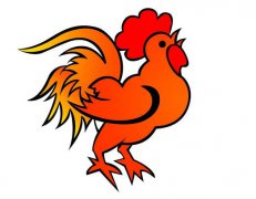 属鸡2018年运势及运程