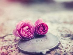 生肖配对属牛和属虎适合做夫妻吗