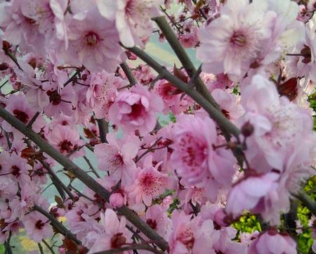17年2月5日黄历吉日查询17年2月5日是什么日子 起名网 17年2月5日黄历吉日查询17年2月5日是什么日子 起名网