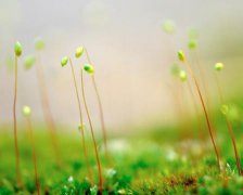 2017年2月6日黄历吉日查询