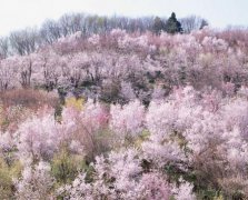 2017年2月9日黄历吉日查询
