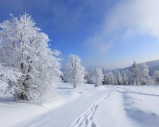 2017年2月开业黄道吉日查询