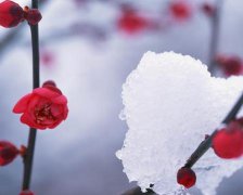 2017年3月开业黄道吉日查询