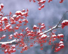 2017年6月开业黄道吉日查询