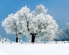 2017年元宵节给闺蜜的祝福语