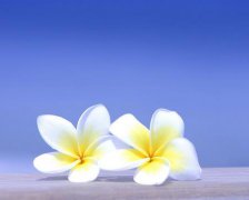 2017年端午节给客户的祝福语