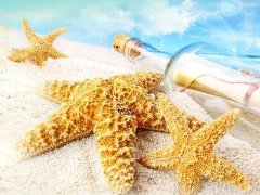 生肖配对属兔和属猴适合做夫妻吗