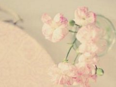 金牛座和什么星座最相配