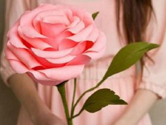 生肖配对属蛇和属马适合做夫妻吗