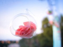 生肖配对属蛇和属羊适合做夫妻吗
