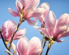 2017年国庆节给老婆的祝福语
