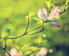 2017年国庆节给同事的祝福语