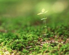 2017年国庆节给闺蜜的祝福语