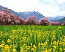 2017年国庆节给朋友的祝福语
