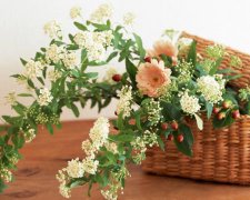 2017年平安夜给同学的祝福语