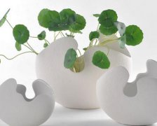 2017年国庆节给晚辈的祝福语