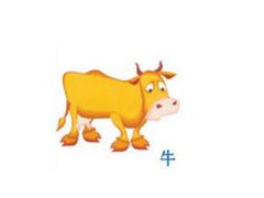 寅时出生的属牛人命运如何