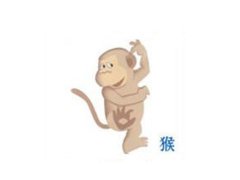 寅时出生的属猴人命运如何