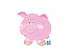 寅时出生的属猪人命运如何