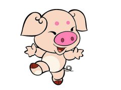 卯时出生的属猪人命运如何