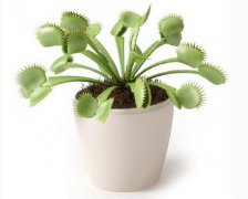 2017年给同事的生日祝福语大全
