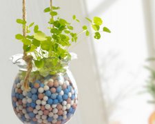 2017年给同学的生日祝福语大全