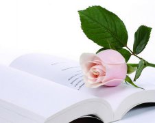 2017年同学结婚祝福语大全