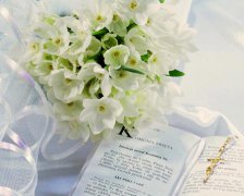 2017年给同事孩子的结婚祝福语大全