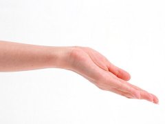 子女线图解大全解析