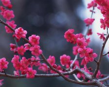 2018年8月上梁黄道吉日查询
