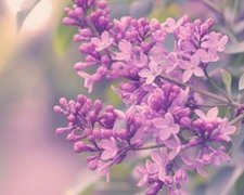 微信签名2017最新版的