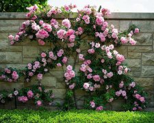 霸气的梦幻西游名字女生2017版