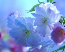 2017文艺的地下城女生游戏名字大全