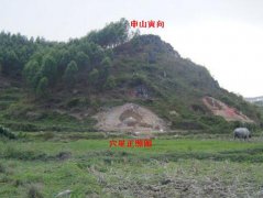 风水术语点穴是什么意思