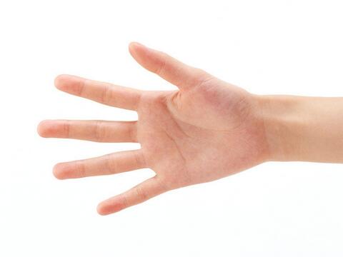 指纹算命10个簸箕财运十个簸箕的女人命运_起